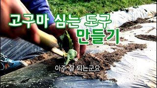 고구마 심는 편리한 도구 만들기 / 고구마 정식 방법