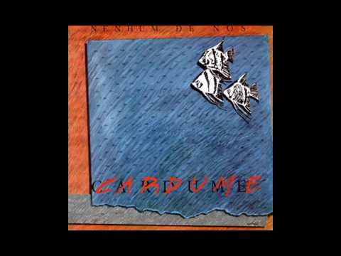 Cardume video