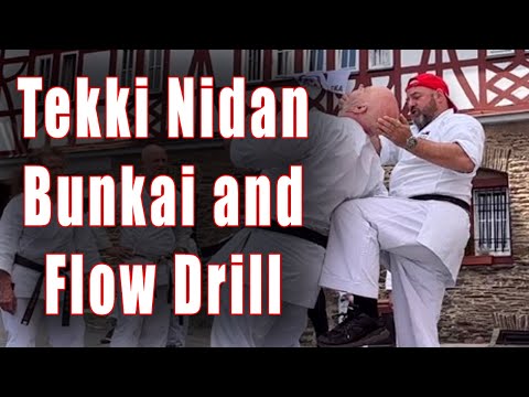 Tekki / Naihanchi Nidan Bunkai and Flow Drill