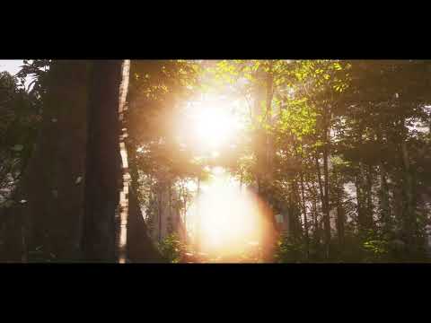 CENZO - Everybody's Got To Learn Sometime