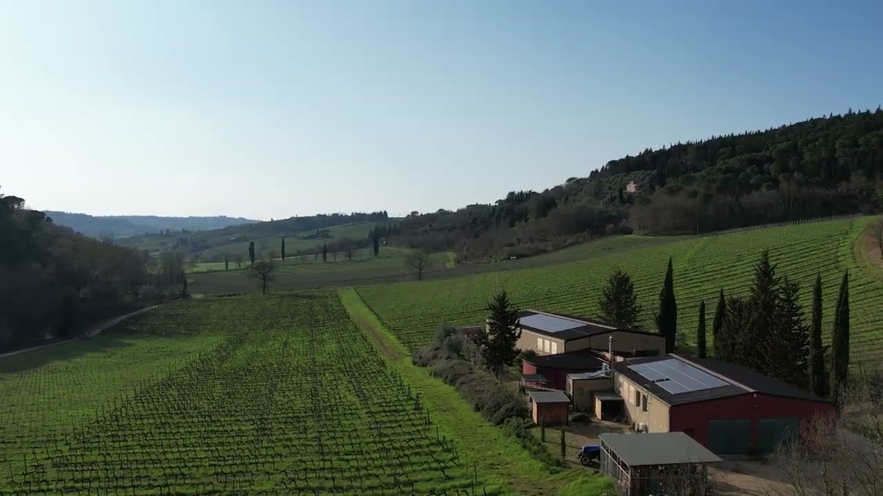 Degustação de vinhos e tour na Carus Vini