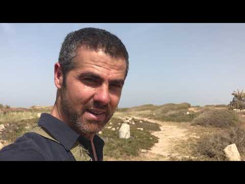 An unedited jaunt through Lepdis Magna's Old forum, in Libya.