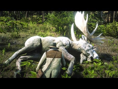 download lagu mp3 mp4 King Moose, download lagu King Moose gratis, unduh video klip Download King Moose Mp3 dan Mp4 Music Online Gratis