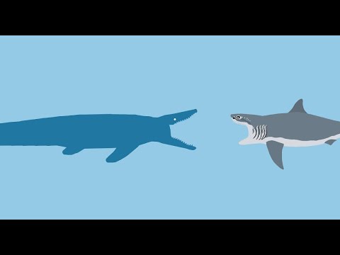 Hainosaurus vs Cretoxyrhina