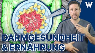 Gesunde Ernährung für den Darm! Darm stärken für eine gesunde Darmflora & funktionierendes Mikrobiom