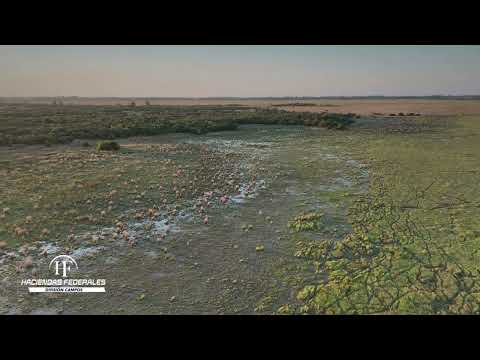 Campo en Venta en Corrientes sobre Ruta Nacional 118 | 409 Has en Saladas