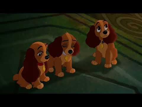 Lady and the Tramp 2: Scamp’s Adventure (2001) Scamp hides from his family