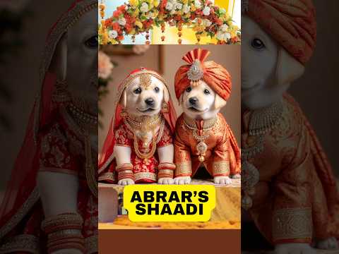 Abrar's Entry Adorable Puppies Shadi #shorts #viral
