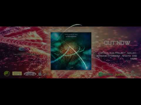 Bengani - Don't Drop It