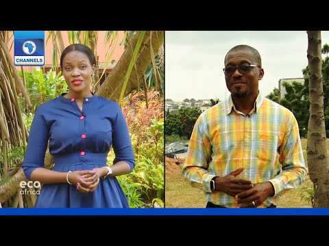 Eco Africa | 16/08/2020