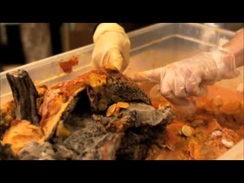 Super Fab Lab! - Decay - Sid The Science Kid - The Jim Henson Company