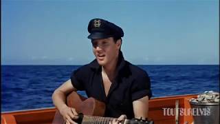 Elvis Presley - Song of the Shrimp (HI-FI) 1962