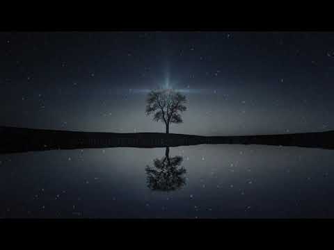 jóhann gunnarsson, Arve Henriksen, Florian Signhartner [ Voices from the trëës ]