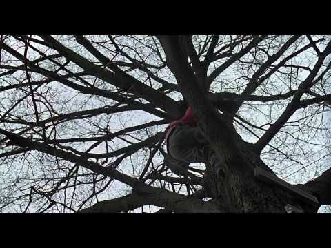 Groundhog Day supercut to Escapee by Architecture in Helsinki