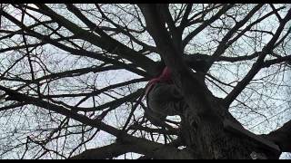 Groundhog Day supercut to Escapee by Architecture in Helsinki