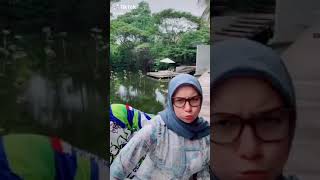 Download lagu Ammar Irish - Aish - Bagaikan Langit mp3