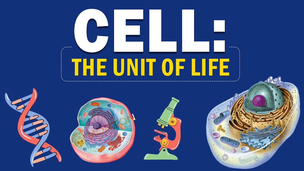 Class 9 | Cell: The unit of life | Biology | ICSE Board | Home Revise