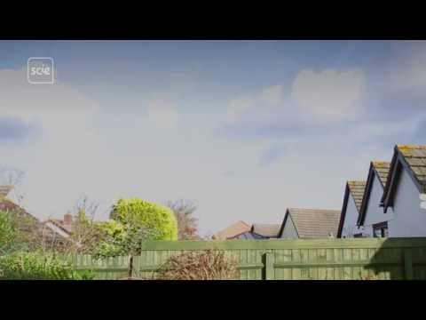 Dementia from the inside