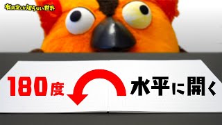 【超進化】ノートの世界 ~有隣堂しか知らない世界109~