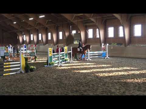 Springpferde A Achselschwang