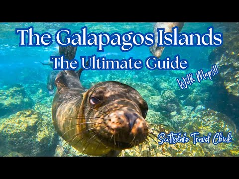 The Galapagos Ultimate Guide - Everything You Need to Know & More