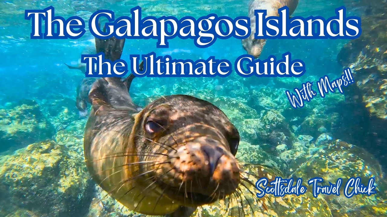 The Galapagos Ultimate Guide - Everything You Need to Know & More