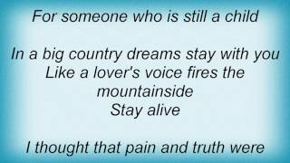 Face To Face - In A Big Country Lyrics