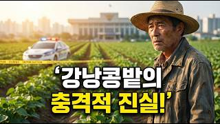 Download lagu 울산 강낭콩밭에서 발견된 충격적 사건의 전말 mp3