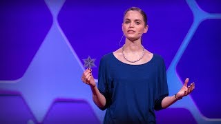 A printable, flexible, organic solar cell | Hannah Bürckstümmer