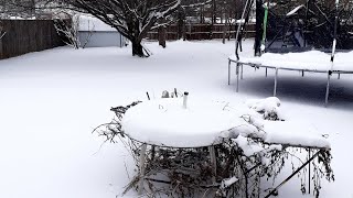 আজকে আমরা প্রায় বরফে তলিয়ে যাচ্ছি!! Today's Snow!!