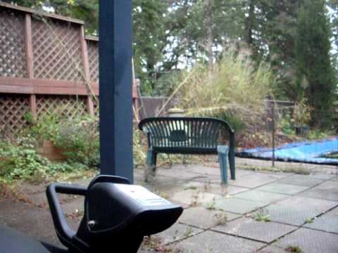 My 2009 MTD yard machines 123cc 21''