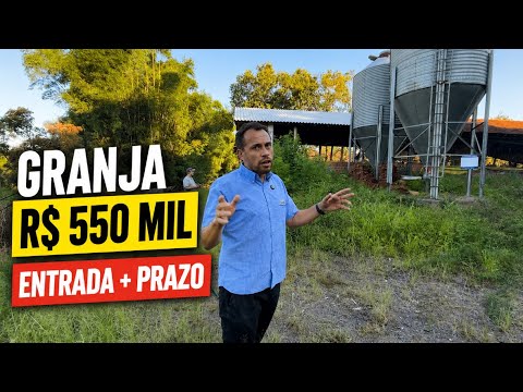GRANJA NO RS POR APENAS R$ 550 MIL | ACEITA ENTRADA + PRAZO
