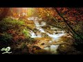 Relaxing Fantasy Music • Calm Harp Music for Sleep and Stress Relief (Forest Whisper)