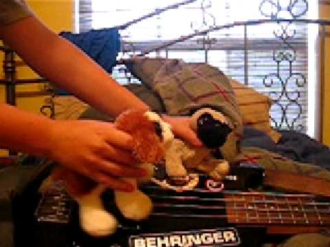 Twinkie Playing Matt Freeman's Bass Solo