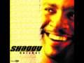 Shaggy - Chica Bonita 