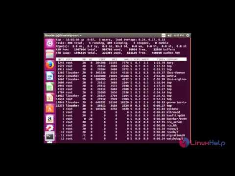 Screen Command in Linux with Examples | LinuxHelp Tutorials