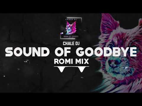 DNZ456 // CHALE DJ - SOUND OF GOODBYE ROMI MIX (Official Video DNZ RECORDS)