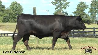 Edgewood Angus Lot 6