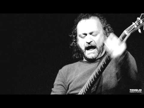 TINSLEY ELLIS - She Wants To Sell My Monkey [1988]