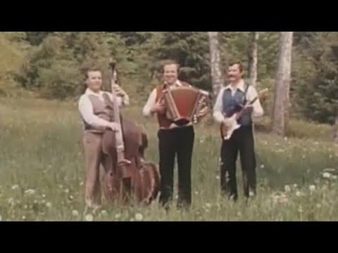 FRANC FLERE - Nedeljsko jutro