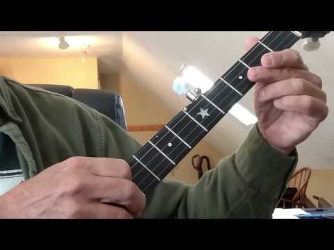 Roses in the Morning