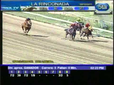 Resumen Sabado, 08 de Octubre de 2011 - La Rinconada