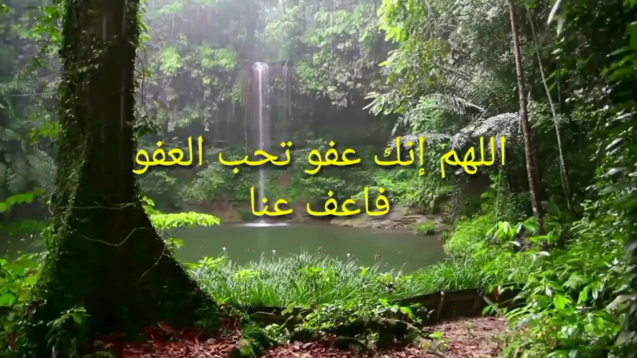 اللهم إنك عفو تحب العفو فاعف عنا