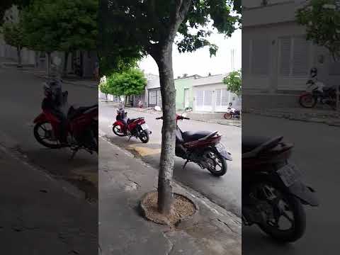 centro de feira nova Pernambuco  terra  🌎 de ninguém  filho dá  terra  vermelha  canal dá família