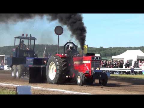 Red Fuchs @ Schlechtenwegen 2013 / Deutscher Meister 3,5t  HD