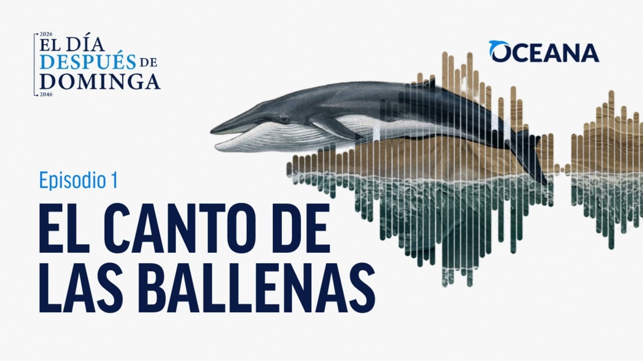 Podcast "El Día Después de Dominga": Episodio 1