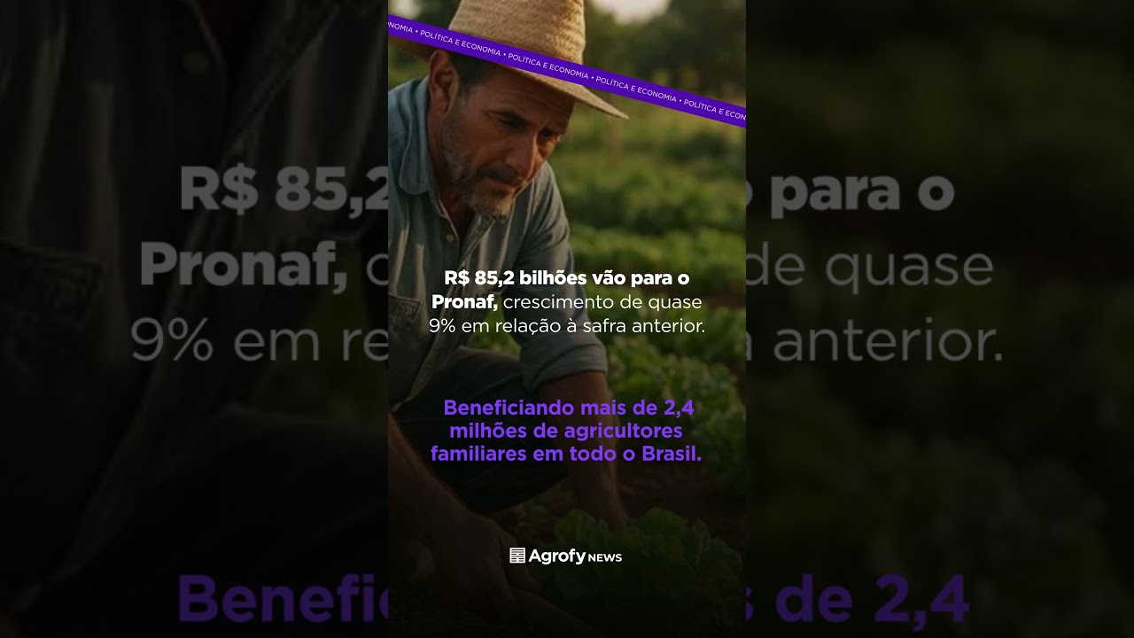 R$ 97 BILHÕES para a Agricultura Familiar, entenda o Plano Safra 2026/27 #shrots