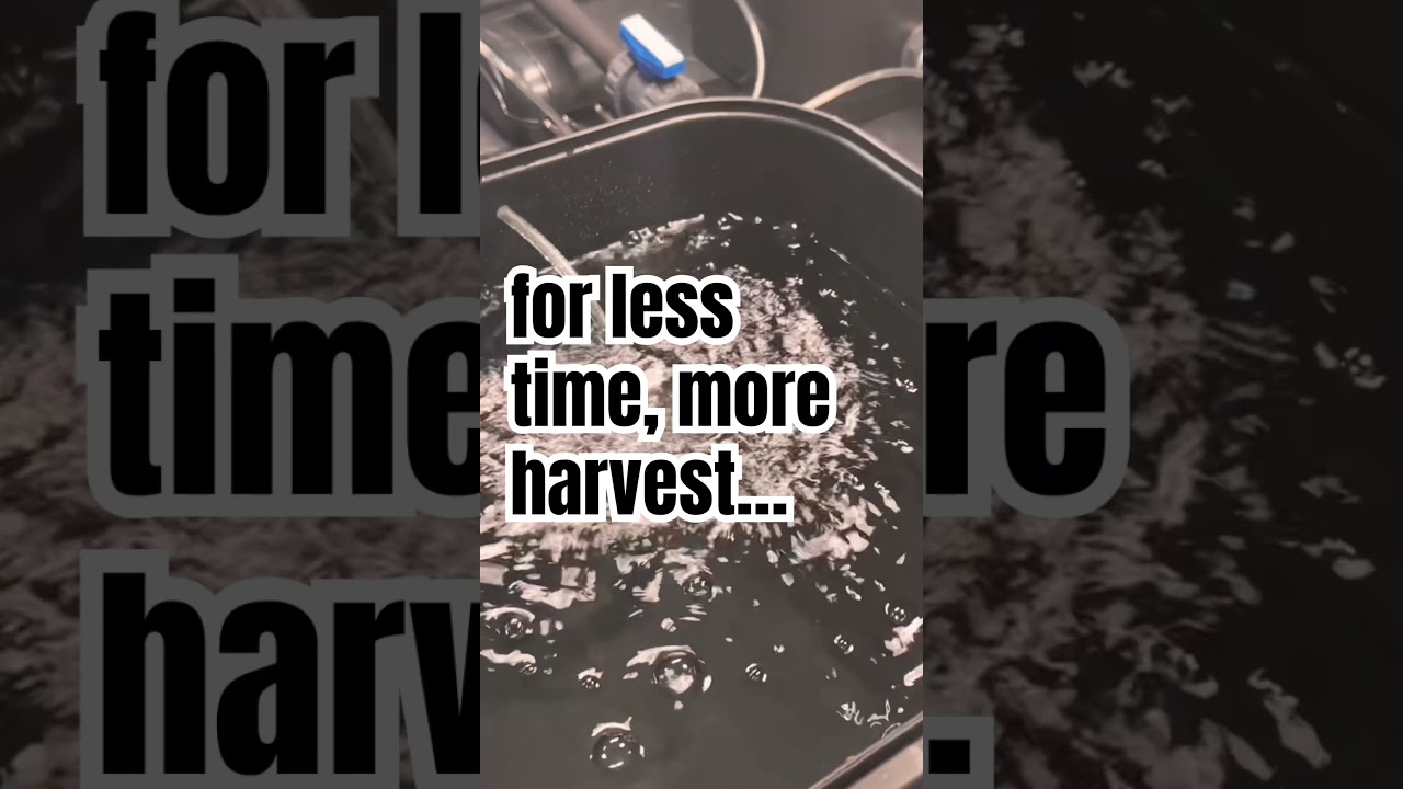 Discover RootBox Hydro RDWC #Hydroponic #Grow System #indoorplants #agriculture #420