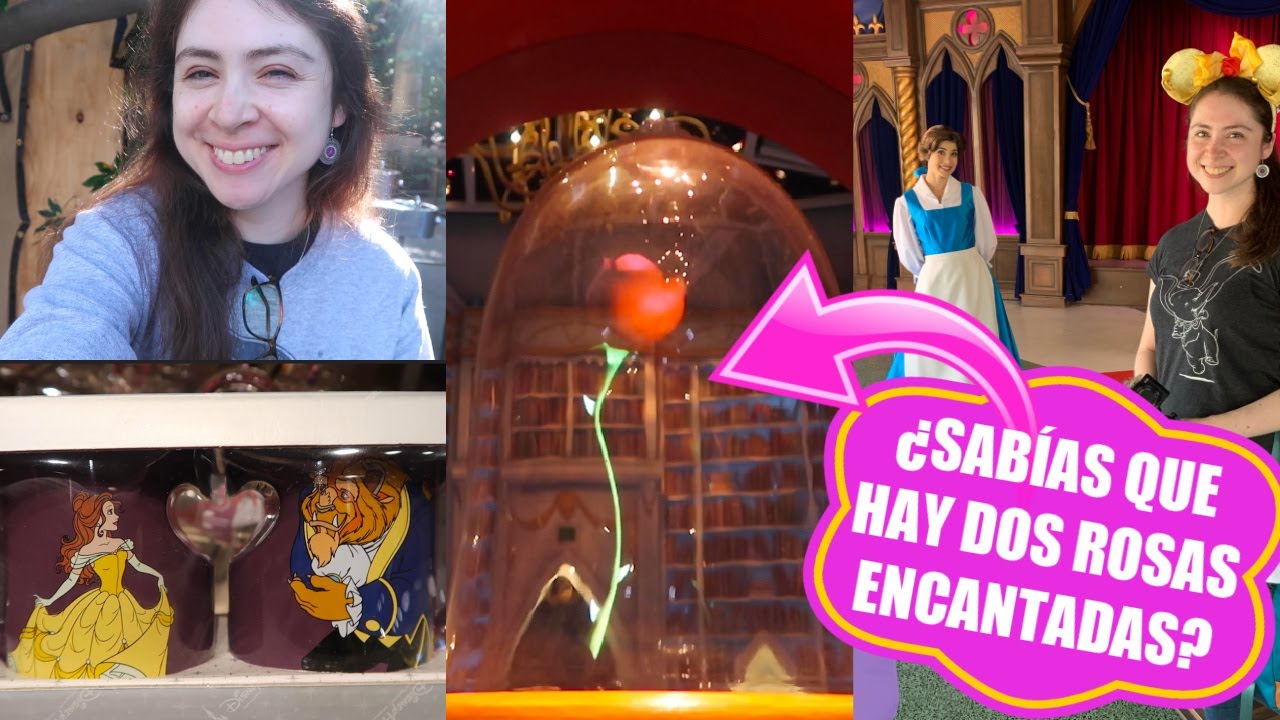 ¡TODO SOBRE LA BELLA Y LA BESTIA EN LOS PARQUES DISNEYLAND! / PERSONAJES, COMIDA Y MERCHANDISE