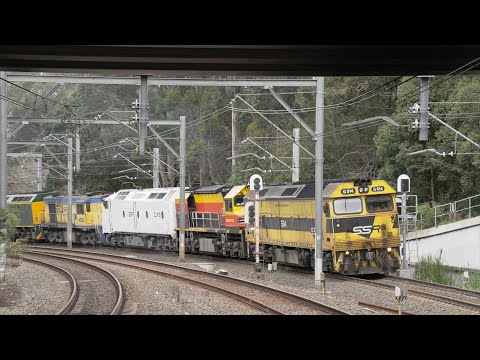 Australian diesels G514, BRM001, CLP12, 4532, RL301, C505, C510 & C509 - Beecroft - September 2020